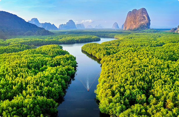 Climate science and finance impact
