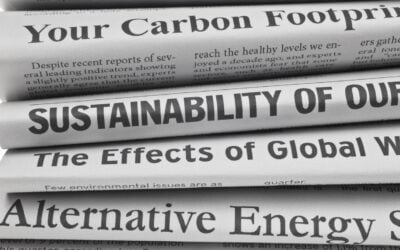 Sustainability reporting is on the rise – here is what your business should know
